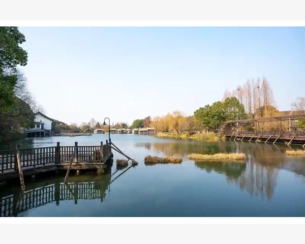 肺热化痰，中医科普：告别痰多困扰，健康呼吸，简易有效！